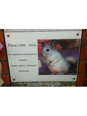 Памятник для животных PZiv_053