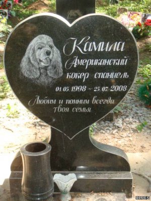 Памятник для животных PZiv_061