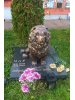 Памятник для животных PZiv_099